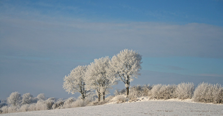 winter wonder land